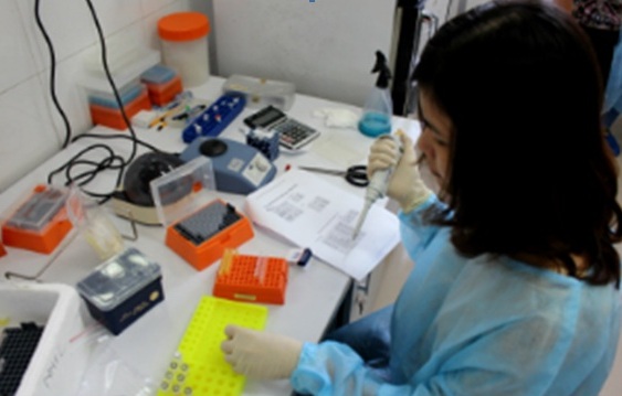 Tăng cường năng lực chẩn đoán xét nghiệm virus Ebola cho cán bộ y tế Việt Nam